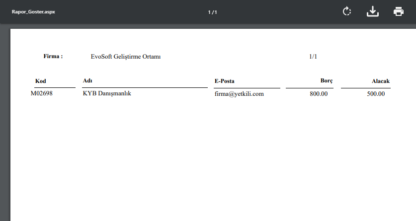 müşteri hesap raporu 2